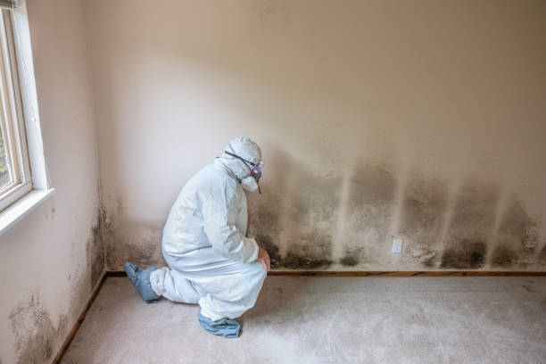 Best Residential Mold Removal  in Foxfire, NC